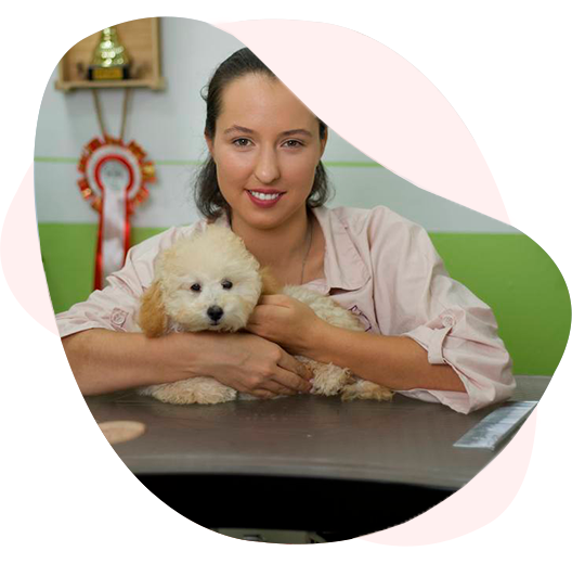 Pet Studio SlavaFly — профессиональный груминг в Бургасе