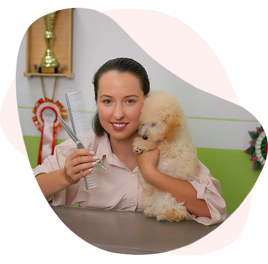 Профессиональный груминг собак в Pet Studio SlavaFly
